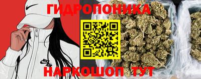 сатива Канаш