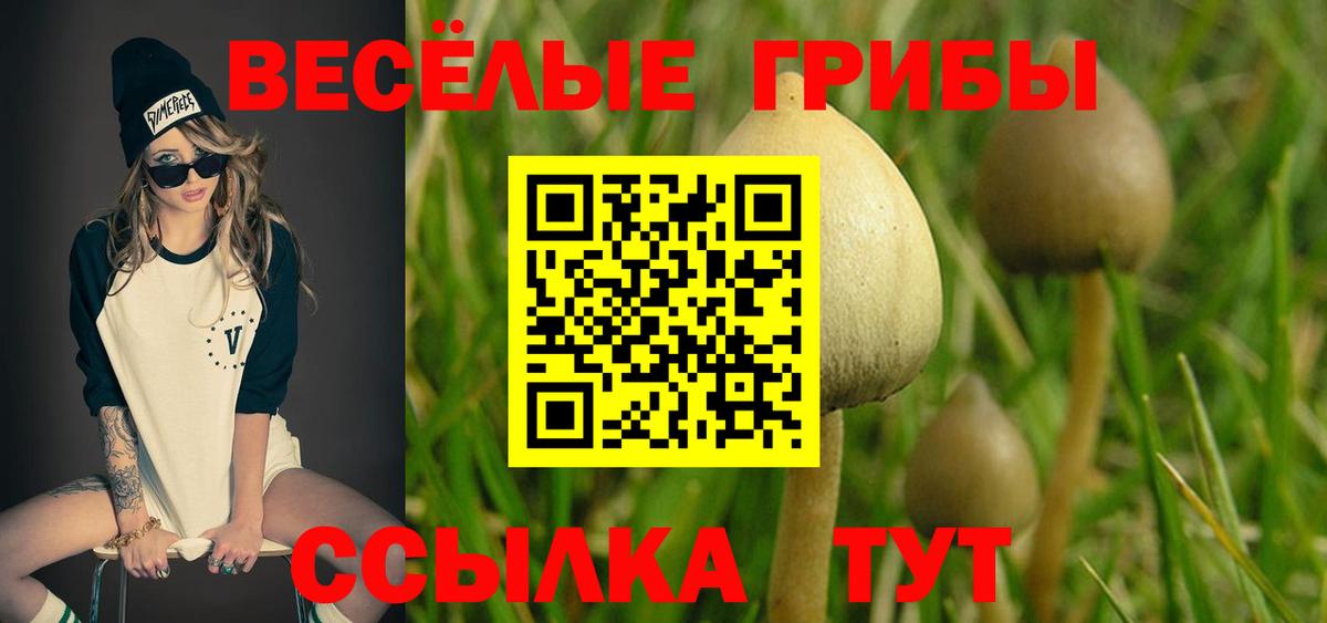 Псилоцибиновые грибы Magic Shrooms  Вход с VPN  Менделеевск 